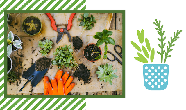 Potted plants, orange garden gloves and garden tools on burlap. 