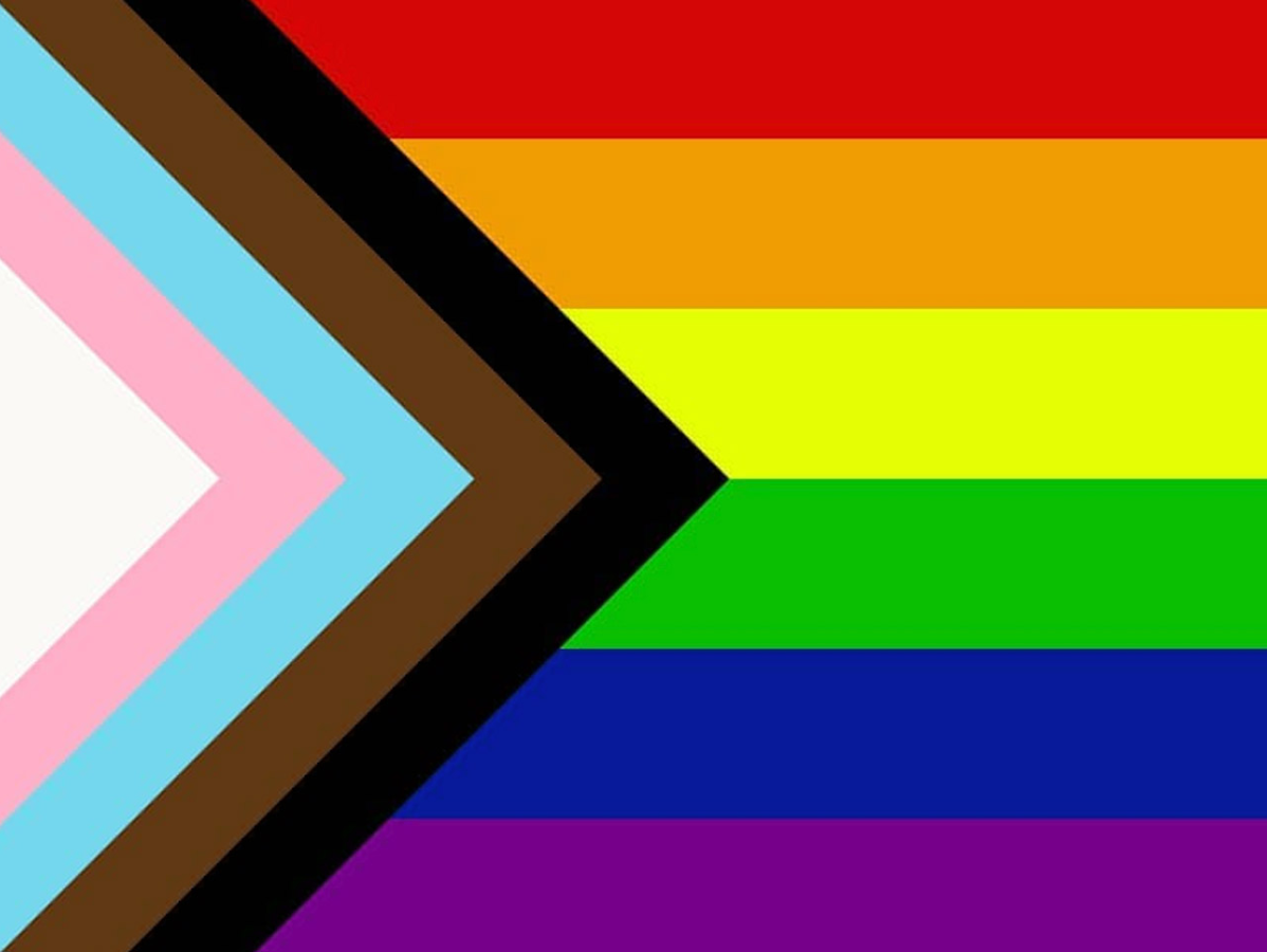 This is an image of the LGBTQIA+ flag. It has red orange, yellow, green, blue, and purple stripes, and then forming a triangle on the right side are white, pink, blue, brown, and black lines.