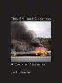 Image for "This Brilliant Darkness"