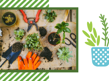Potted plants, orange garden gloves and garden tools on burlap. 