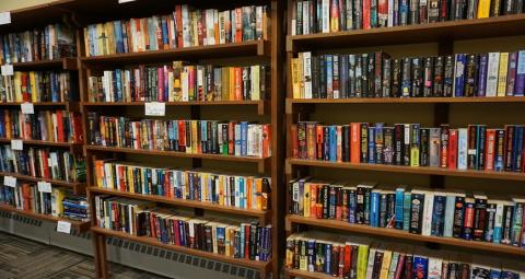 book shelves full of books