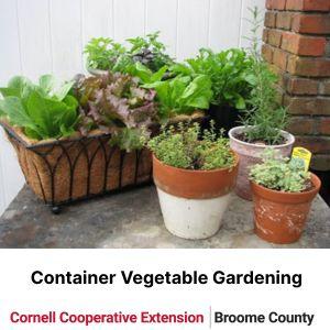 Container Vegetable Gardening - CCE